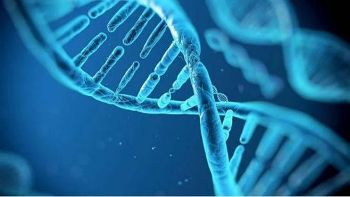 弈柯萊生物科技,完成近3億元c輪融資